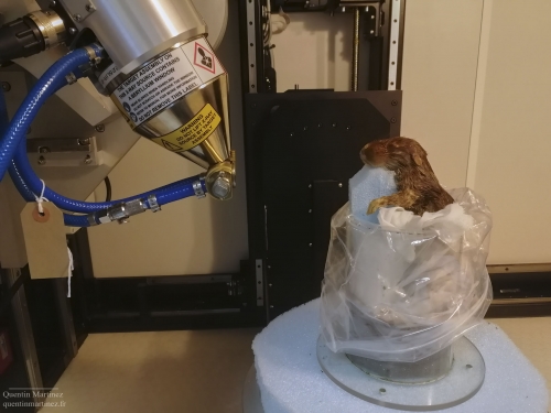 CT-scan facilities in the NHM UK