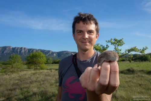 Pierre-Henri Fabre inspecting a Crocidura