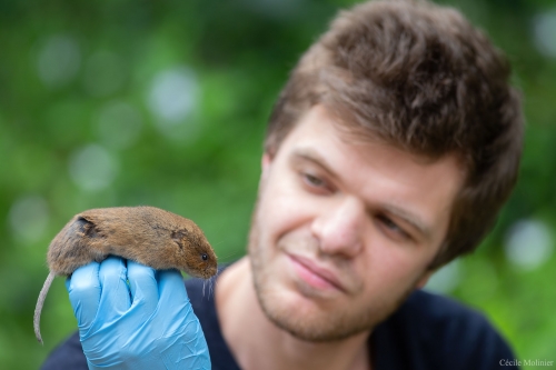 Quentin Martinez inspecting an Arvicola